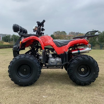 АТВ с приводом на четыре колеса Beach Buggy 4X4 1000cc