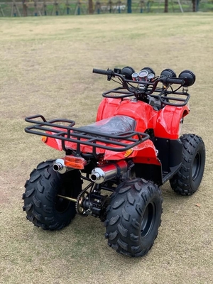 АТВ с приводом на четыре колеса Beach Buggy 4X4 1000cc