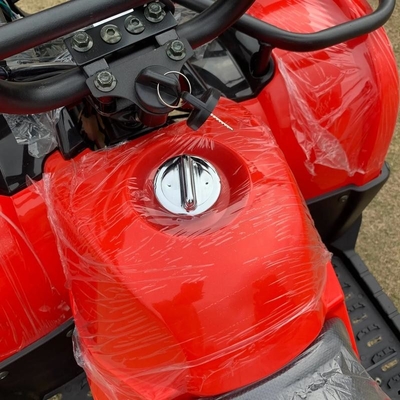 АТВ с приводом на четыре колеса Beach Buggy 4X4 1000cc
