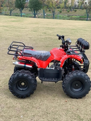 АТВ с приводом на четыре колеса Beach Buggy 4X4 1000cc