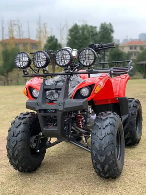 АТВ с приводом на четыре колеса Beach Buggy 4X4 1000cc